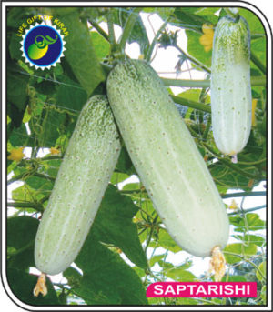 SAPTARISHI